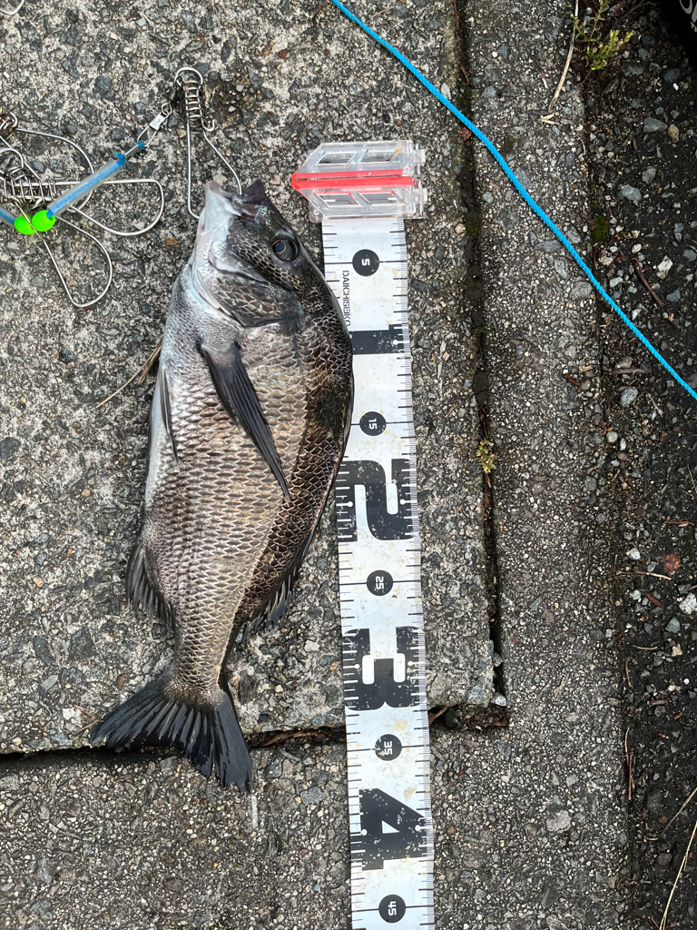 リベンジ成功？