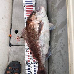 明石鯛の70ｷﾀ━(ﾟ∀ﾟ)━!