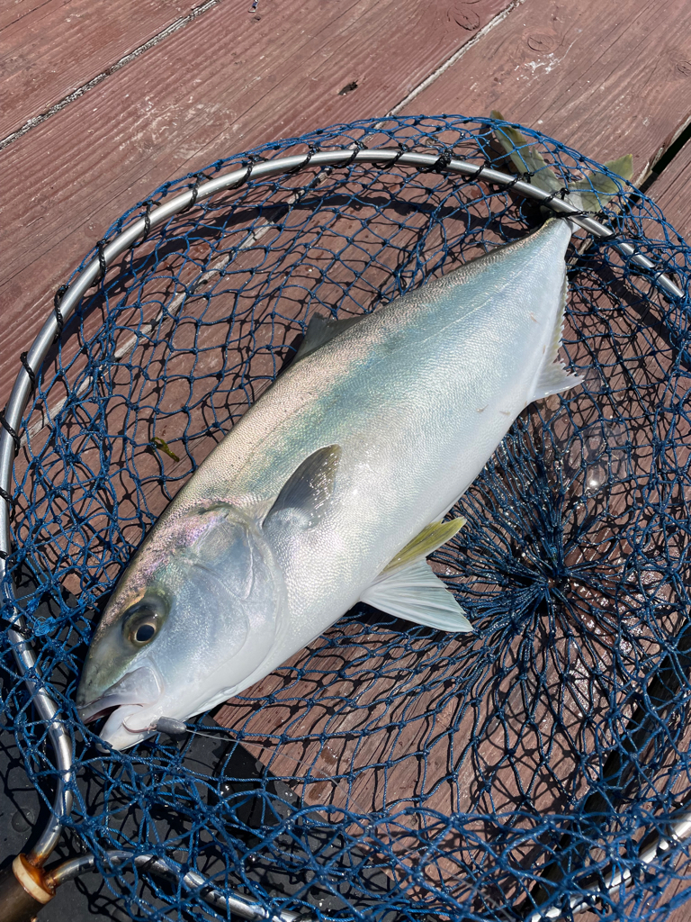 じゃのひれフィッシングパークさんにて