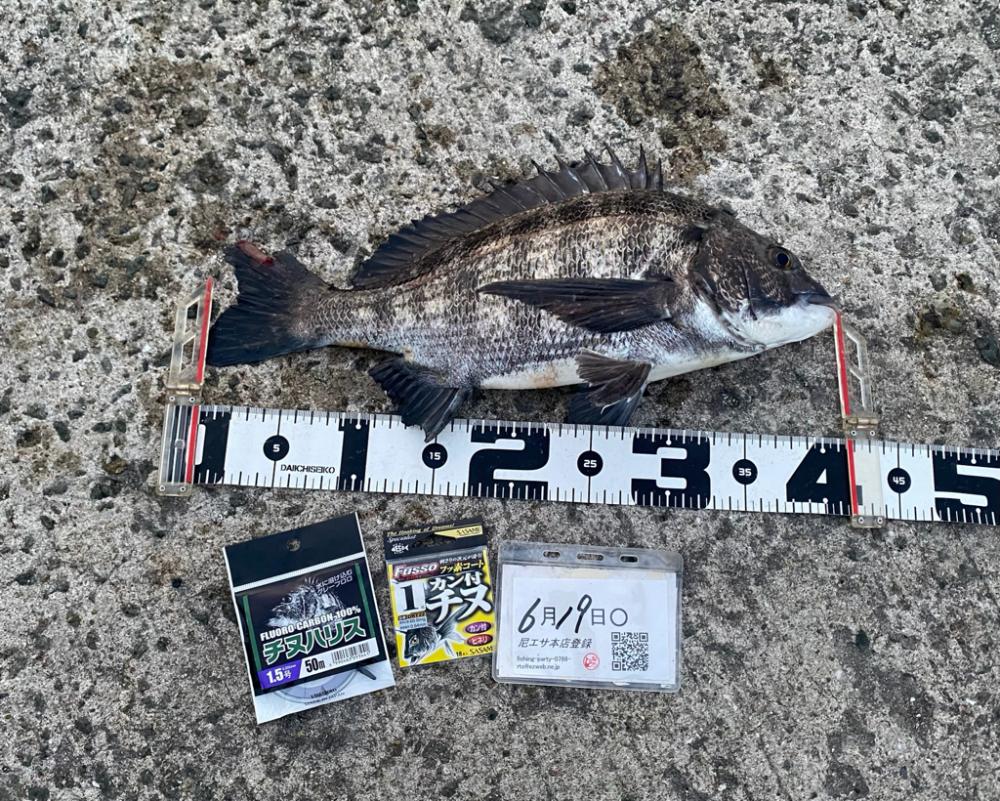 間開けず反応有り