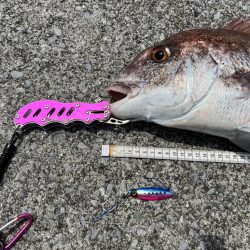 最後のグロッキー、まさかの大物（笑）