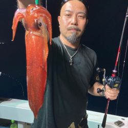 ２０日マイカ半夜便