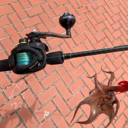 ⭐︎ぎりテイクアウトサイズ