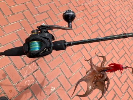 ⭐︎ぎりテイクアウトサイズ