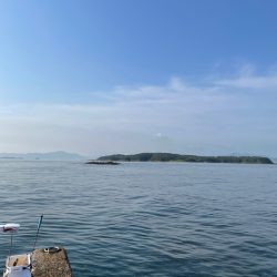 サバゴの猛攻に苦戦❗️