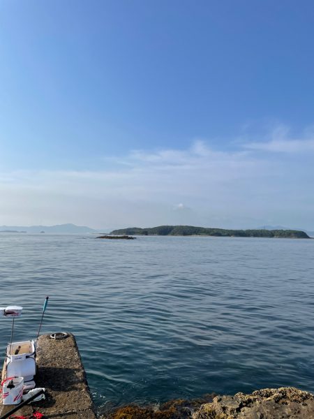 サバゴの猛攻に苦戦❗️