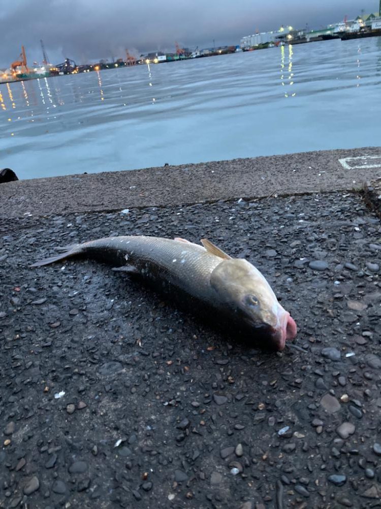 遊んでいたのにゴメン！