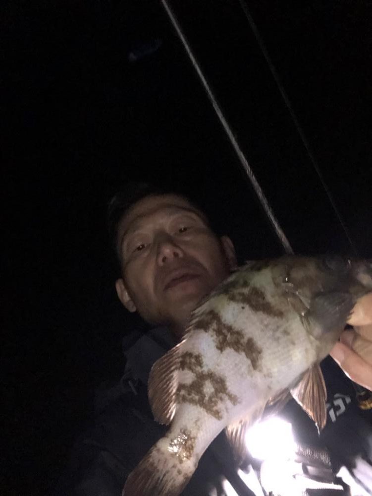 強風メバリング