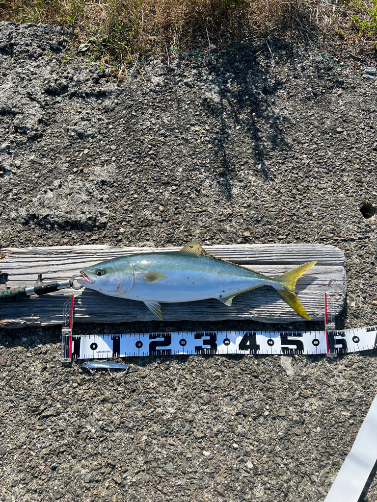 信頼と安心のビッグバッカー!