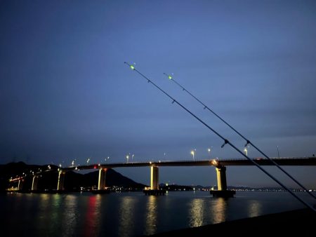 クロダイ、スズキ狙い