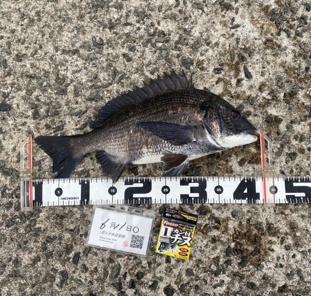 釣り終了間際に雨