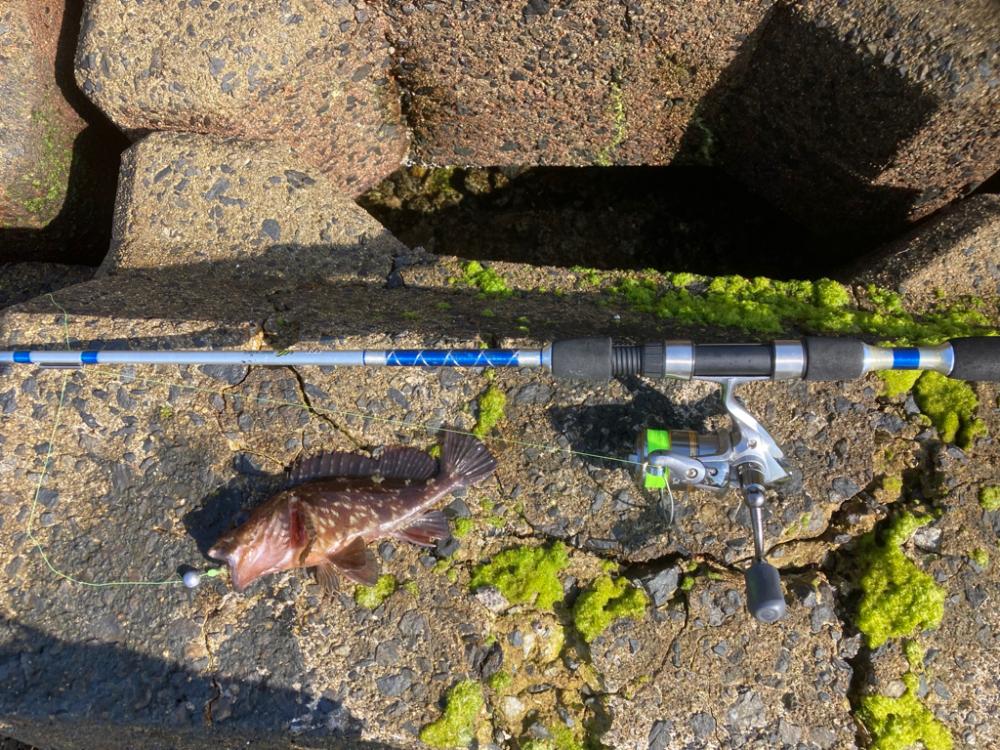 穴釣り 2022年13回目