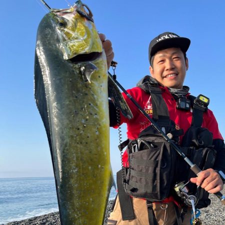 シイラにはジャックアイエース！