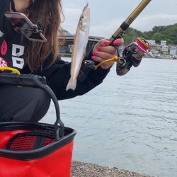 小さいキスが良く釣れました