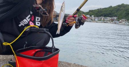 小さいキスが良く釣れました