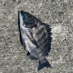 風が少し強く肌寒く感じる日