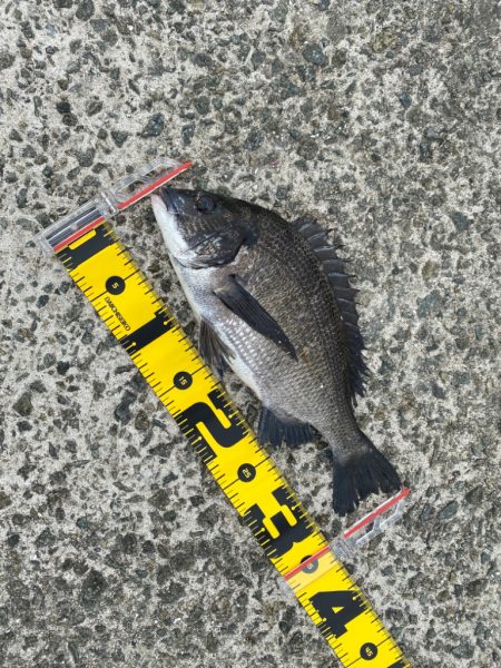 場所移動で挑む。