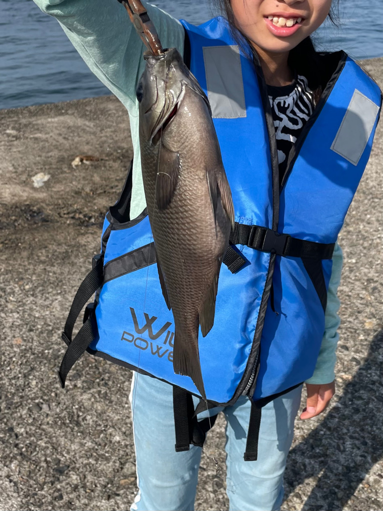 さかなちゃん釣り日記 本荘人口島