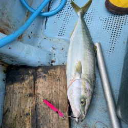 明石ジギング船釣行