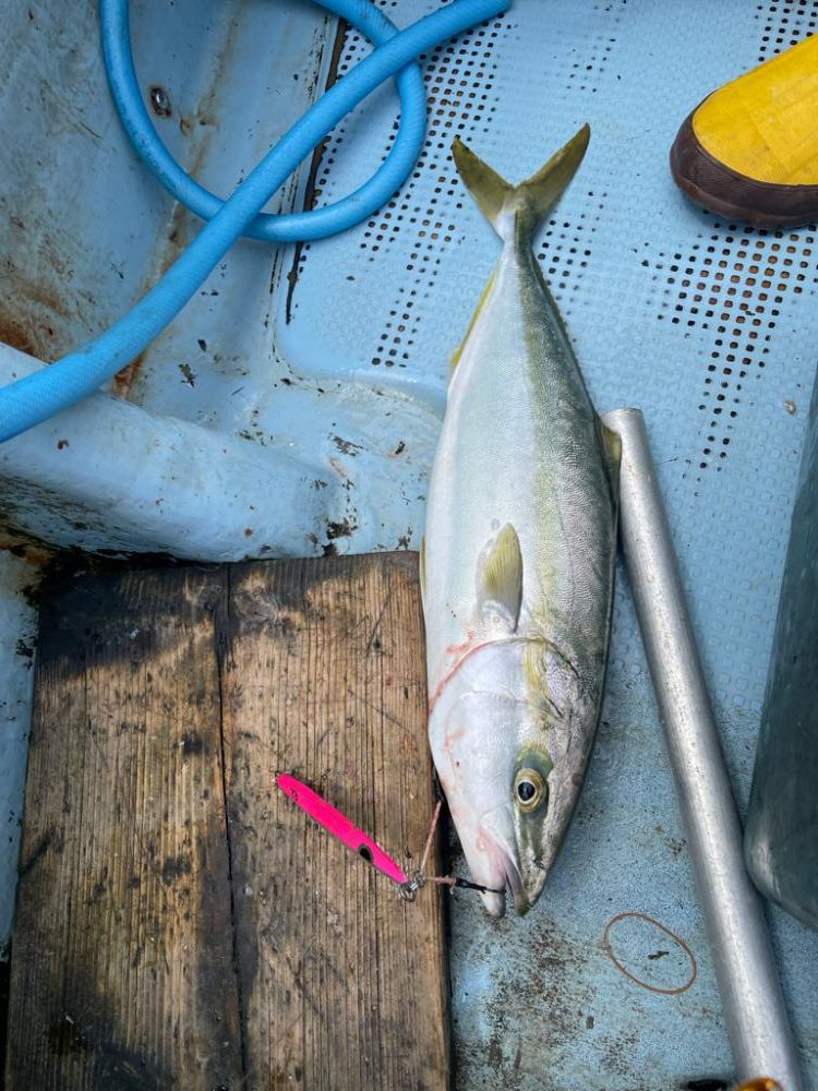 明石ジギング船釣行