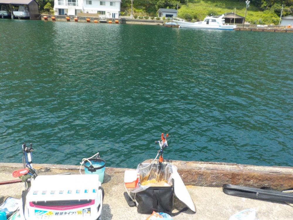 かかり釣り第二戦 白杉にて