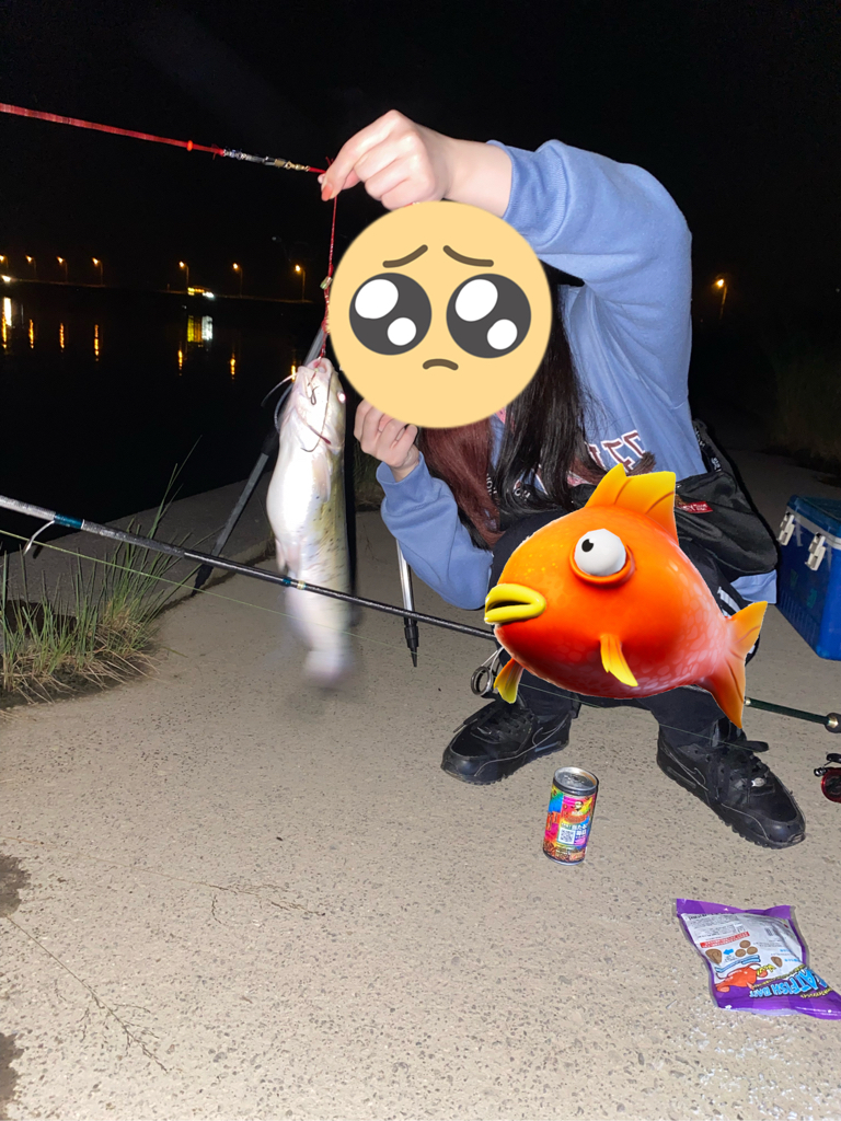 霞ヶ浦のナマズ