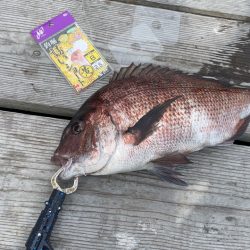 6月13日釣堀海恵釣行