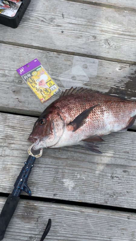 6月13日釣堀海恵釣行