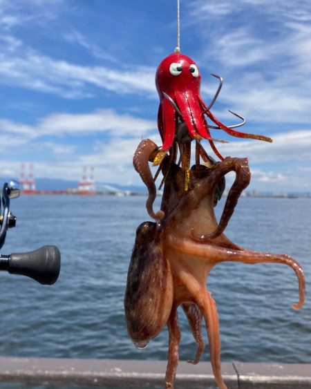 新子狩り。ツヌケ10杯。。。