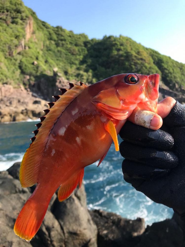 休み消化で磯へ