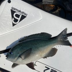 梅雨合間の晴天☀️