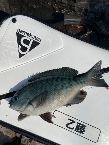 梅雨合間の晴天☀️