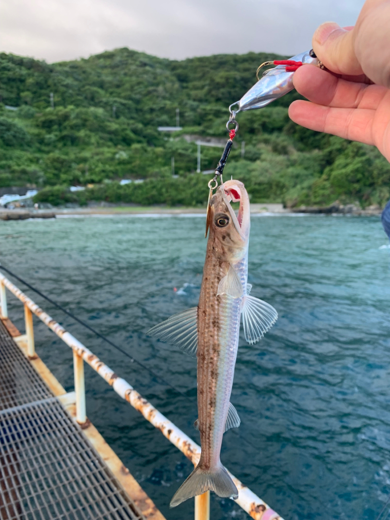 いろいろいつもの