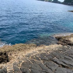 尾長を求めて‼︎