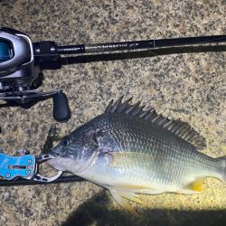 淀川ブリームゲーム　22シルバーウルフmx…