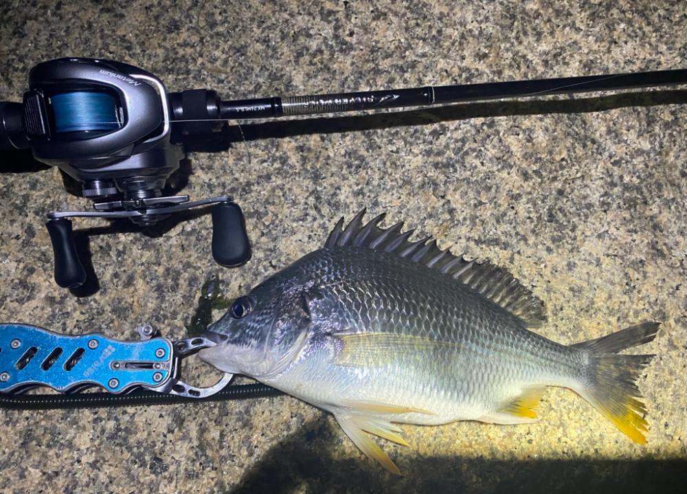 淀川ブリームゲーム 22シルバーウルフmx 76MLB-S鱗付け