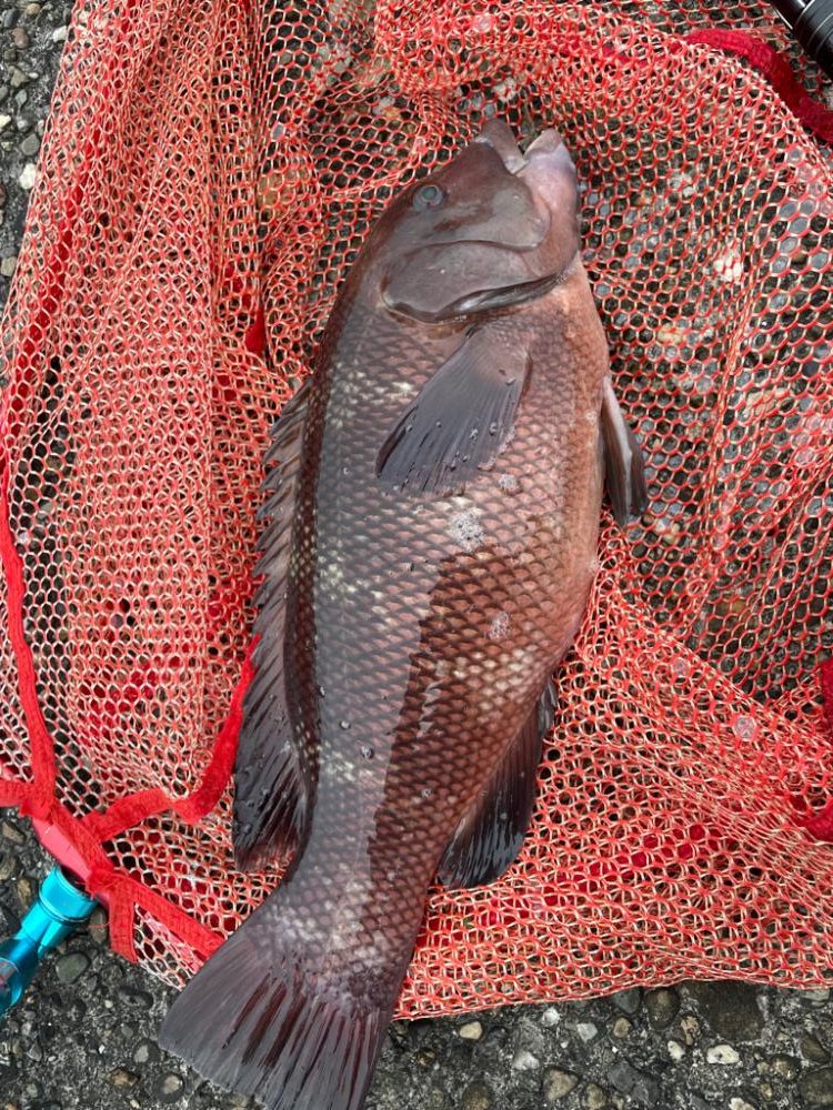 自己記録更新！