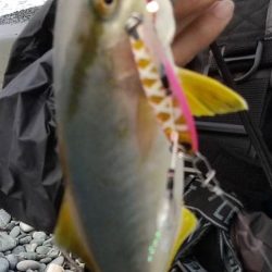 ちっさいショゴちゃん