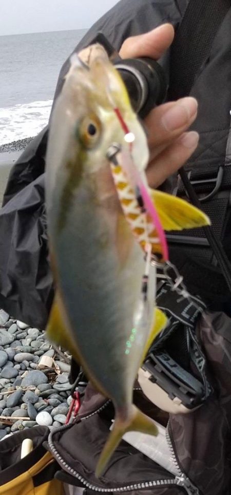 ちっさいショゴちゃん