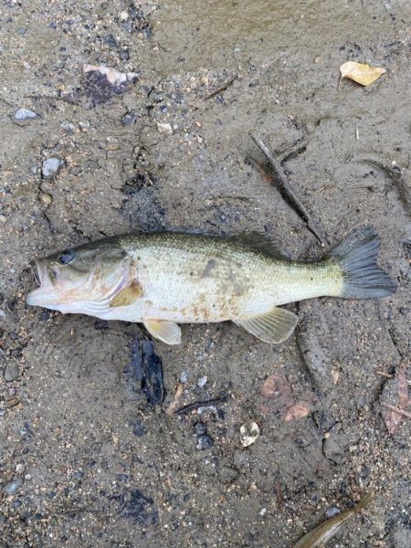 久しぶりの釣行！