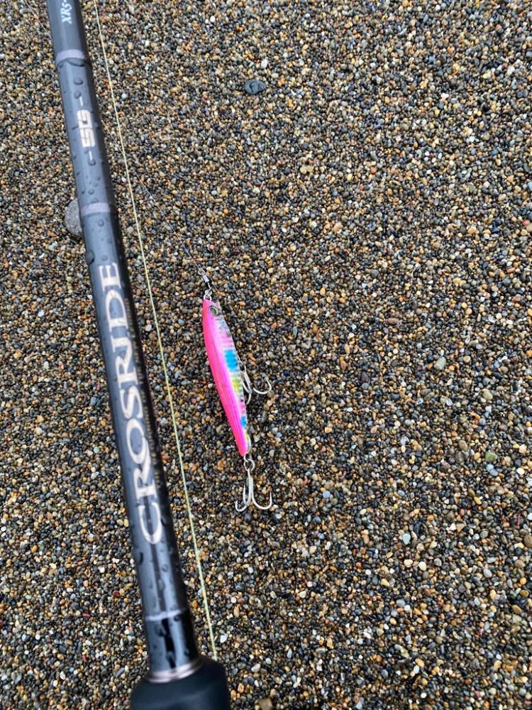 朝マズメジギング