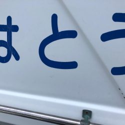 やっぱりはとう渡船