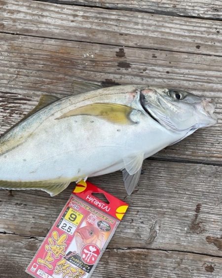 ハリミツ社員研修に同行！