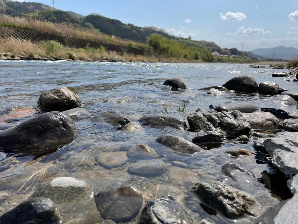 バス釣りでナマズ