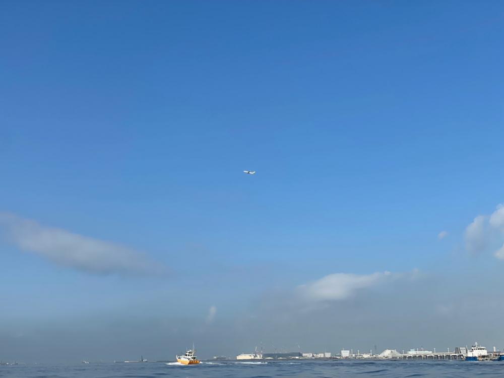 東京湾マゴチゲーム