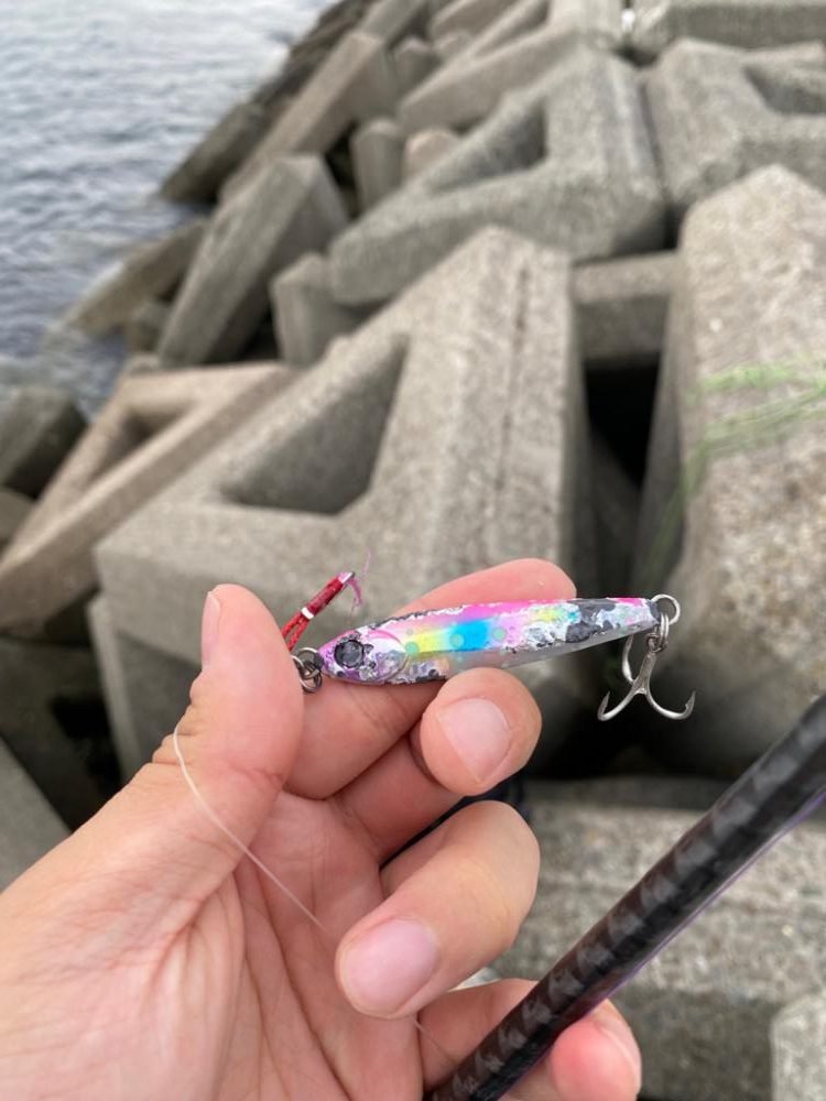 泉大津ショアジギング