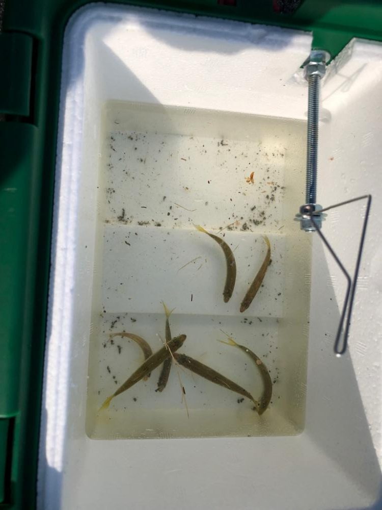 小魚とのんびり