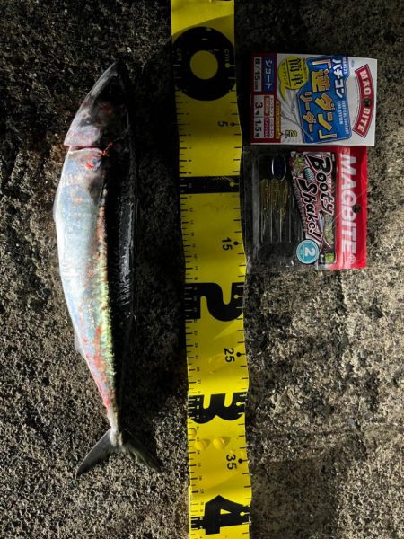 バチコンリベンジ　#マグバイト