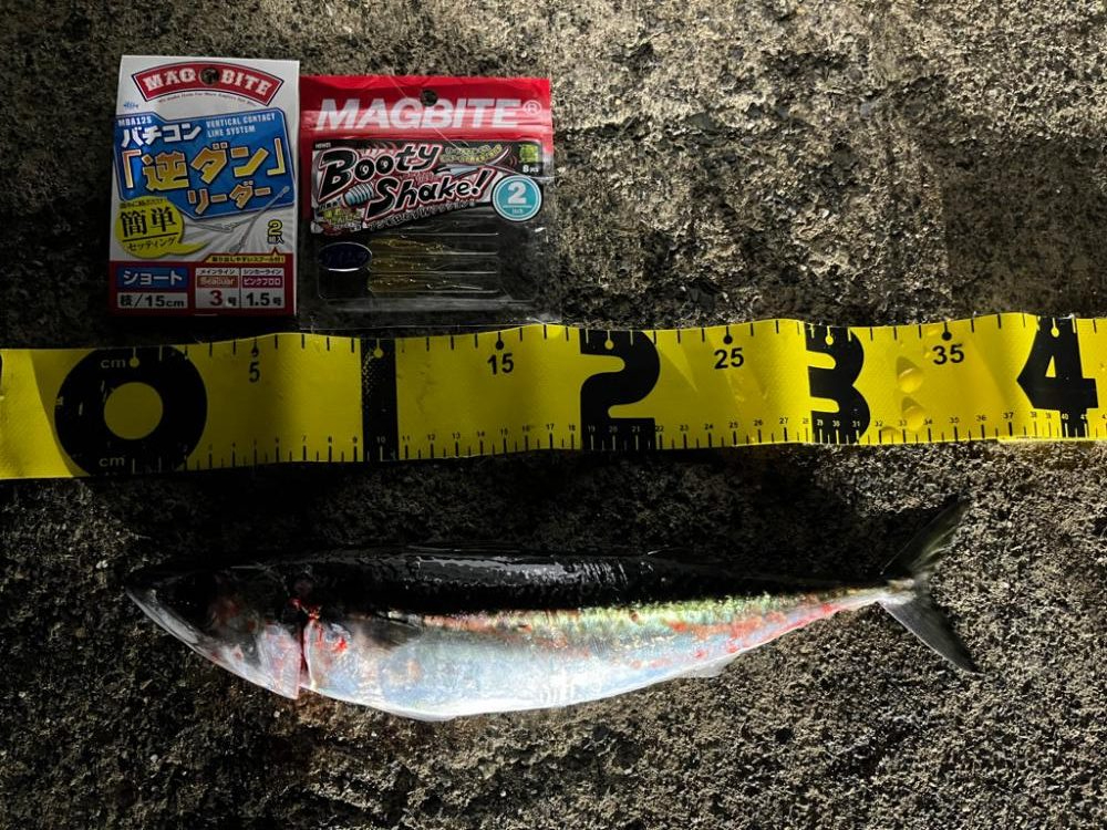 バチコンリベンジ　#マグバイト