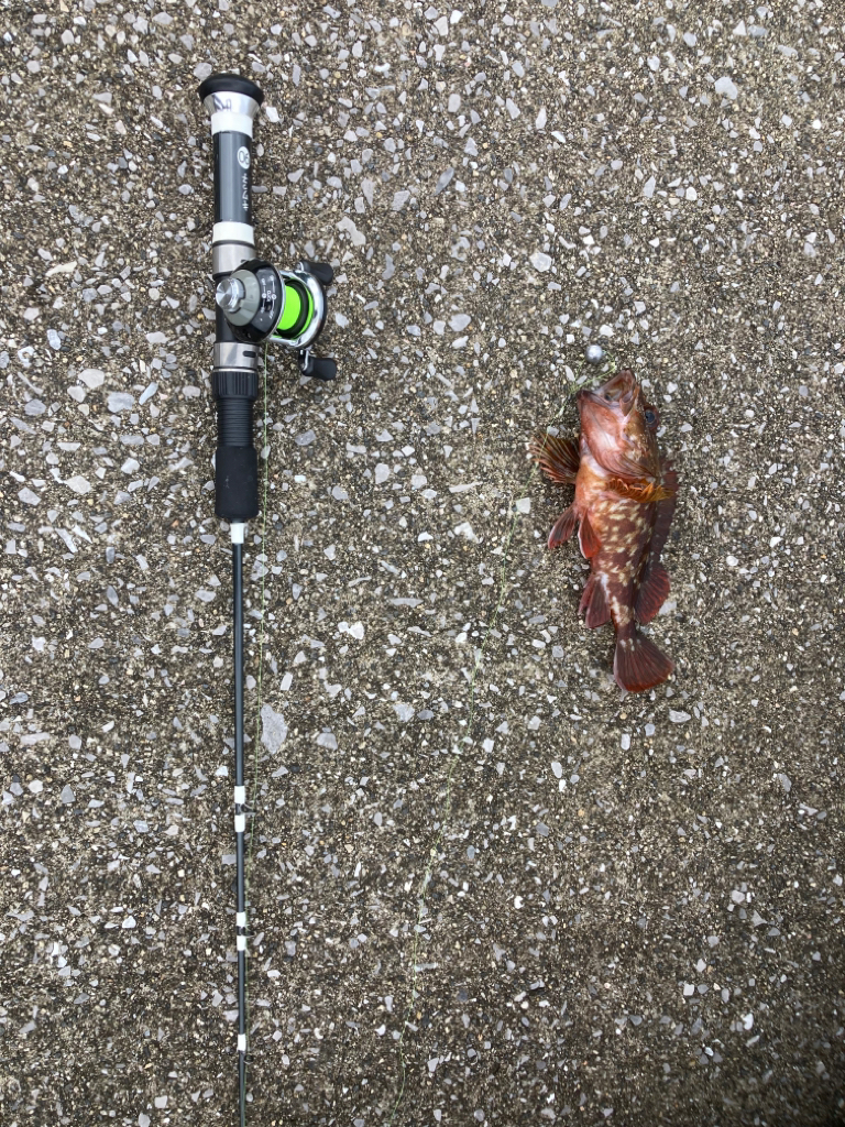 2022穴釣り15回目